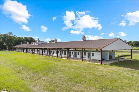 Tiny photo for 1345 NE 155 Pl, Citra, FL 32113 (MLS # OM721389)
