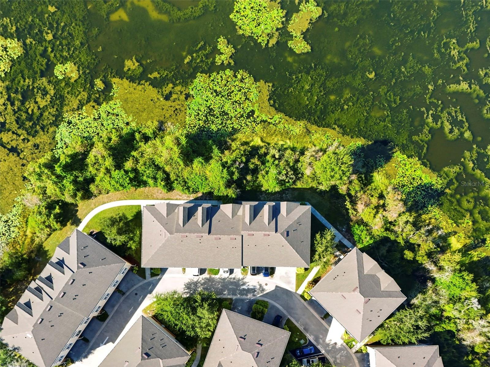 ARBOR GREENE TWNHMS REP - Residential