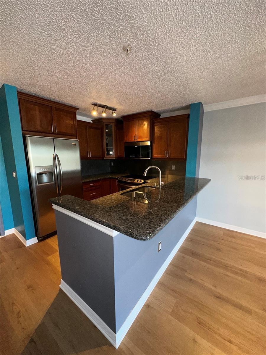 AUDUBON CONDO AT FEATHER SOUND - Residential Lease