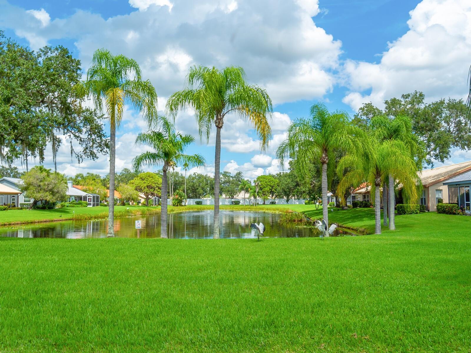 CASA DEL SOL SEC V - Residential