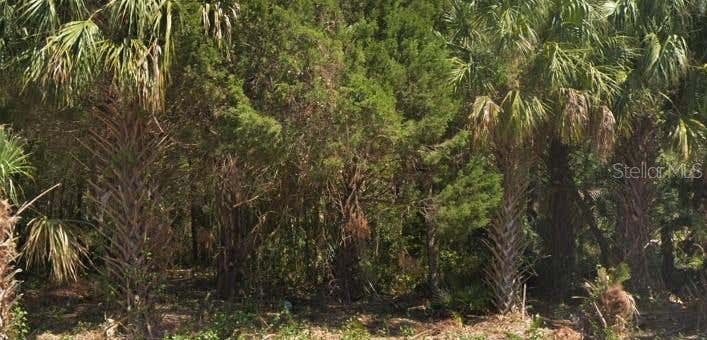 Photo of 4030 S Kings Avenue, Homosassa, FL 34446 (MLS # TB8521468)