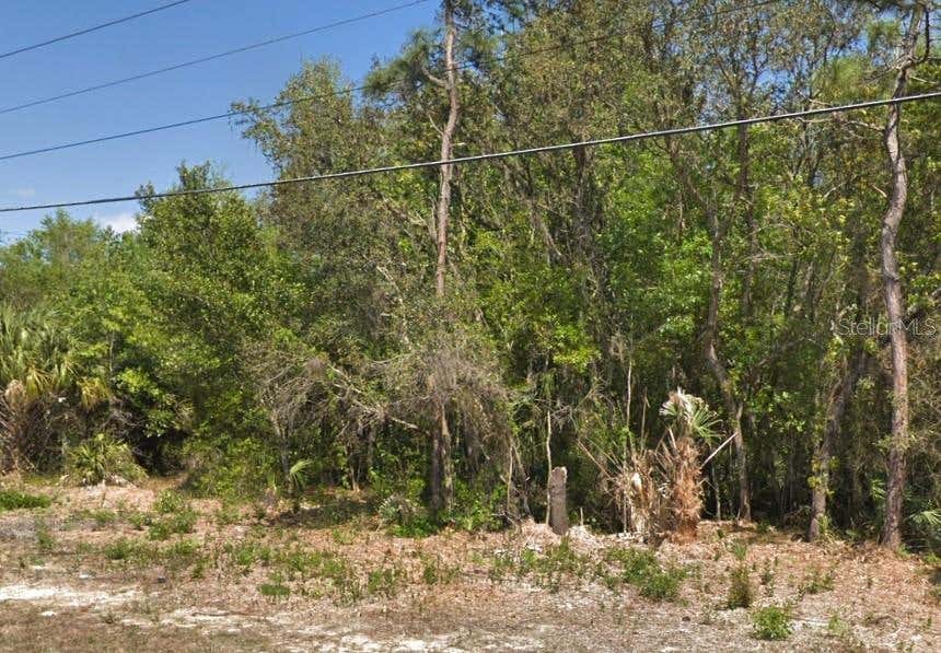 Photo of 4030 S Kings Avenue, Homosassa, FL 34446 (MLS # TB8521468)