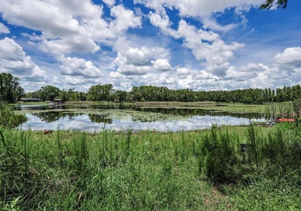 Photo of 4635 Cobb Road, Land O Lakes, FL 34638 (MLS # W7880899)
