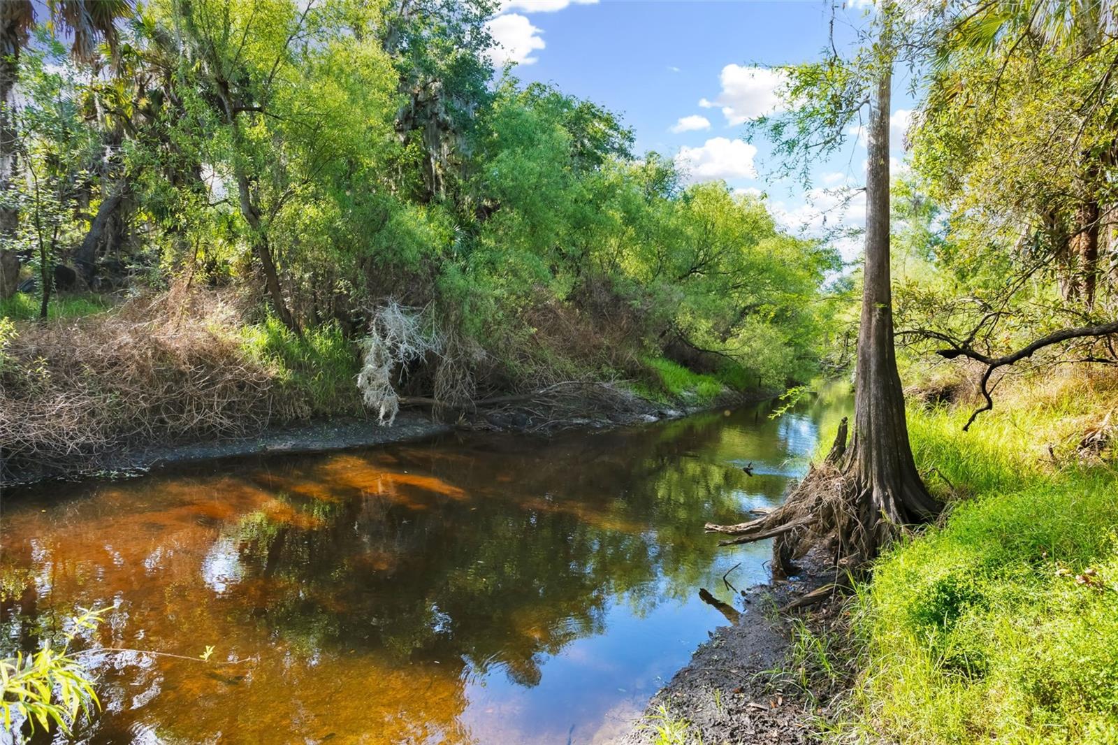 ROYAL PARK ESTATES ADD 01 - Residential