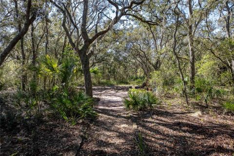 listing image 58