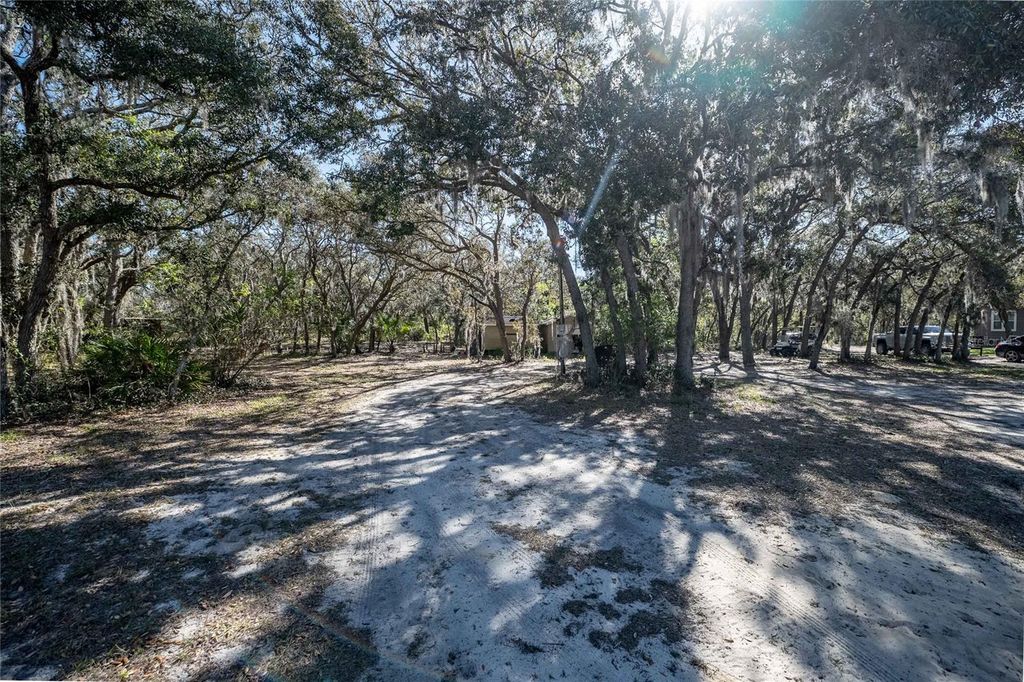 listing image 65