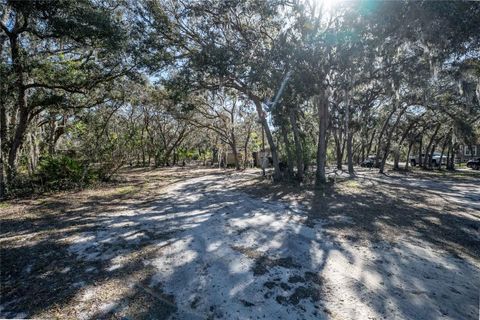 listing image 65
