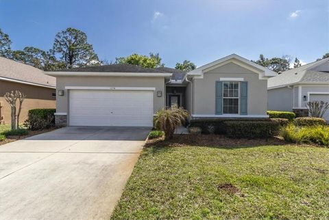 Photo of 11150 Paradise Point Way, New Port Richey, FL 34654 (MLS # W7883738)