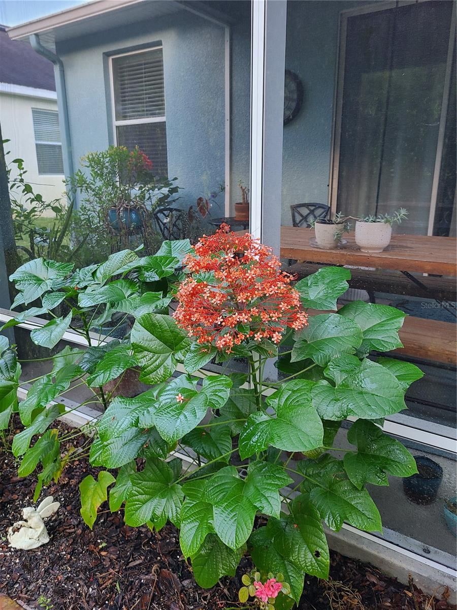 SUMMERTREE PRCL 3B - Residential