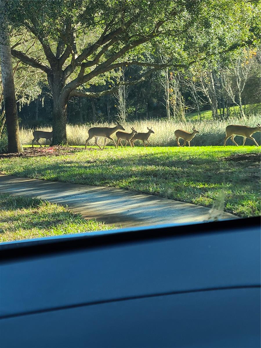 SUMMERTREE PRCL 3B - Residential