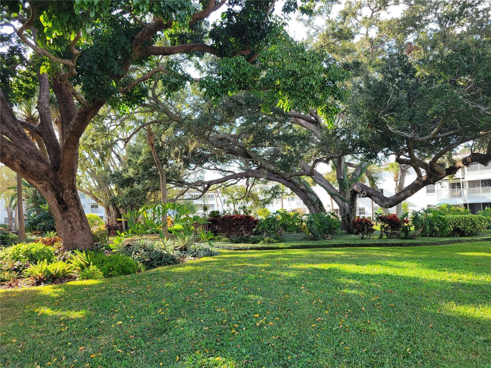 THE THIRD BAYSHORE - Residential