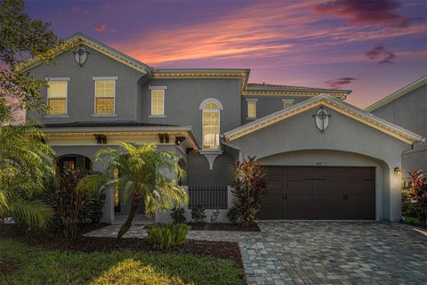 A home in APOLLO BEACH