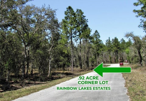 Photo of Lombardy Lane, Dunnellon, FL 34431 (MLS # TB8562575)