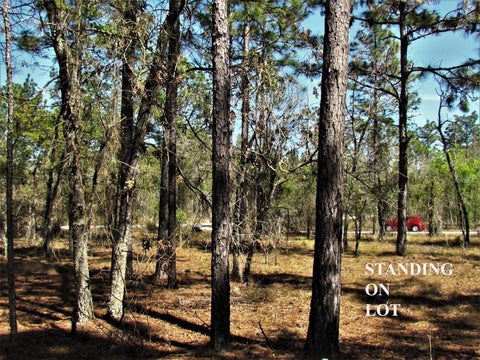 Tiny photo for Lombardy Lane, Dunnellon, FL 34431 (MLS # TB8562575)
