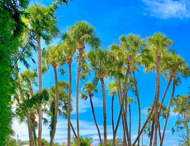 BEACH PARK - Residential