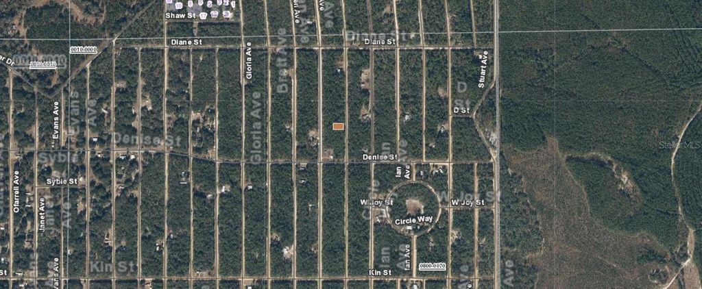 Photo of 25 Del Monaco Avenue, Interlachen, FL 32148 (MLS # A4670509)