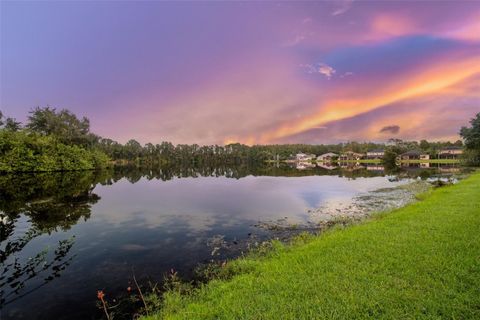 A home in TAMPA