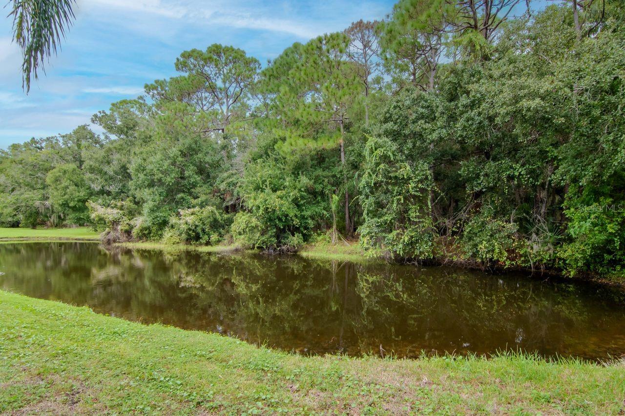 FOUNTAINS AT CYPRESS LAKES THE - Residential Lease