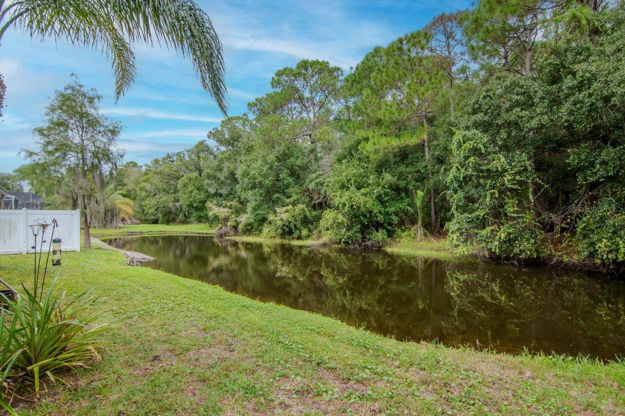 FOUNTAINS AT CYPRESS LAKES THE - Residential Lease