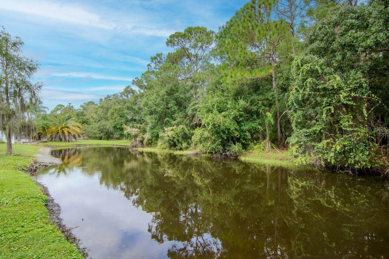 FOUNTAINS AT CYPRESS LAKES THE - Residential Lease