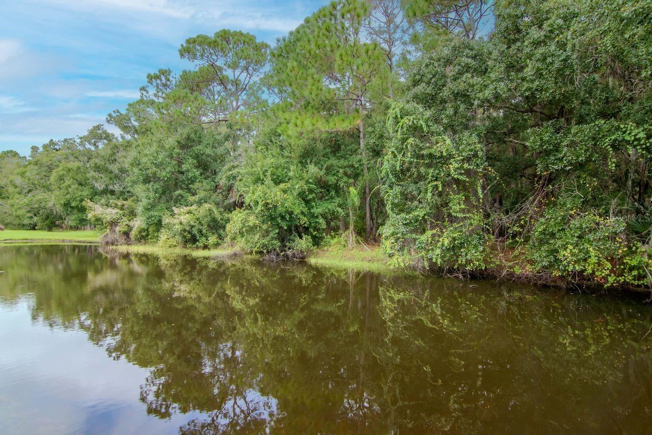 FOUNTAINS AT CYPRESS LAKES THE - Residential Lease