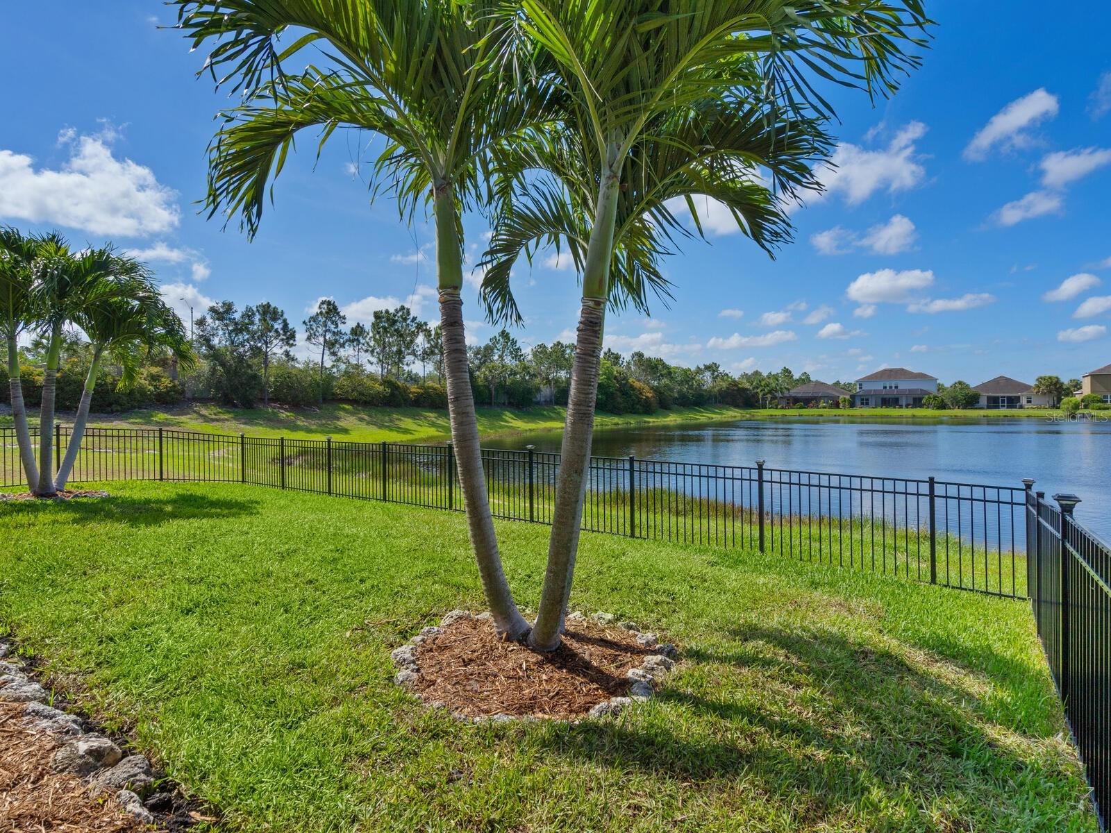 ARBOR LAKES ON PALMER RANCH - Residential