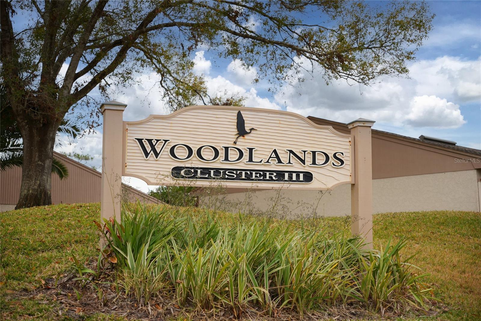 EAST LAKE WOODLANDS CLUSTER HOMES - Residential