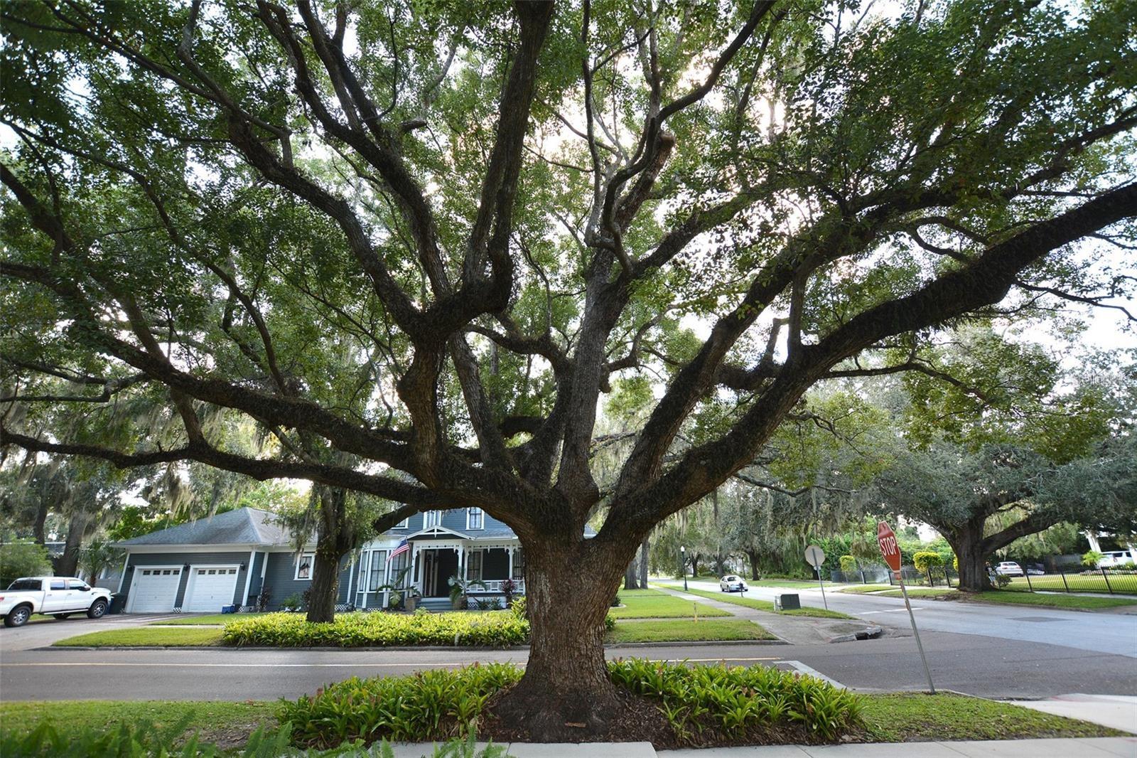 LYTLES 2ND ADD - Residential