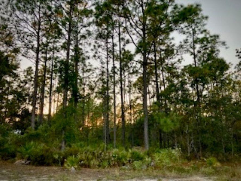 Photo of 4282 N Bridger Drive, Beverly Hills, FL 34465 (MLS # TB8440001)