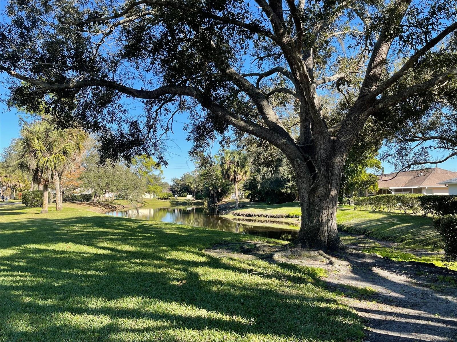 BRIARWOOD UNITS 1&2 - Residential