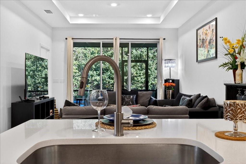 HAMMOCK AT PALM HARBOR - Residential