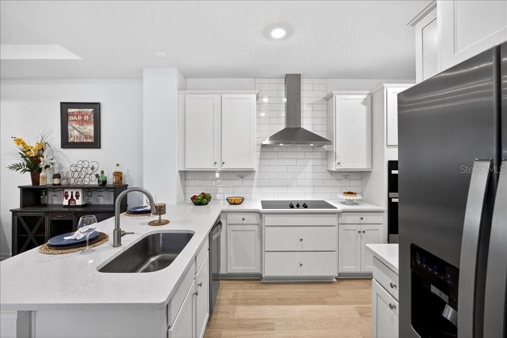 HAMMOCK AT PALM HARBOR - Residential