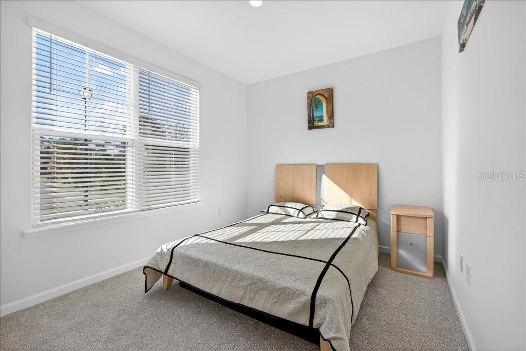 HAMMOCK AT PALM HARBOR - Residential