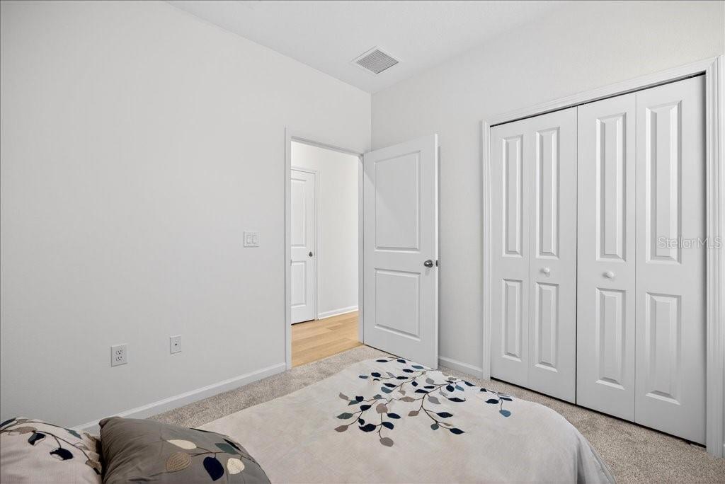 HAMMOCK AT PALM HARBOR - Residential