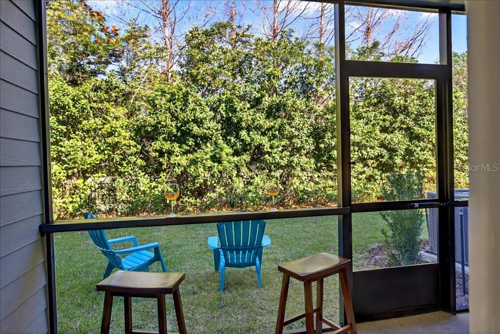 HAMMOCK AT PALM HARBOR - Residential