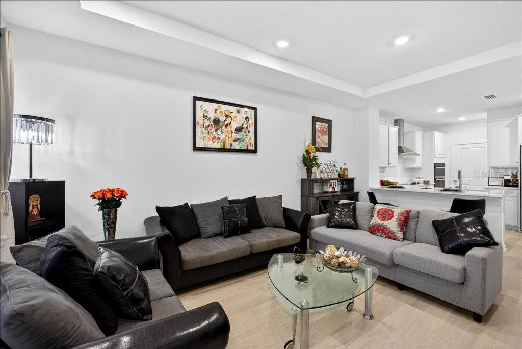 HAMMOCK AT PALM HARBOR - Residential