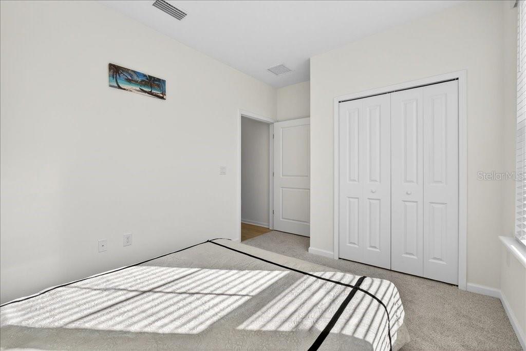 HAMMOCK AT PALM HARBOR - Residential