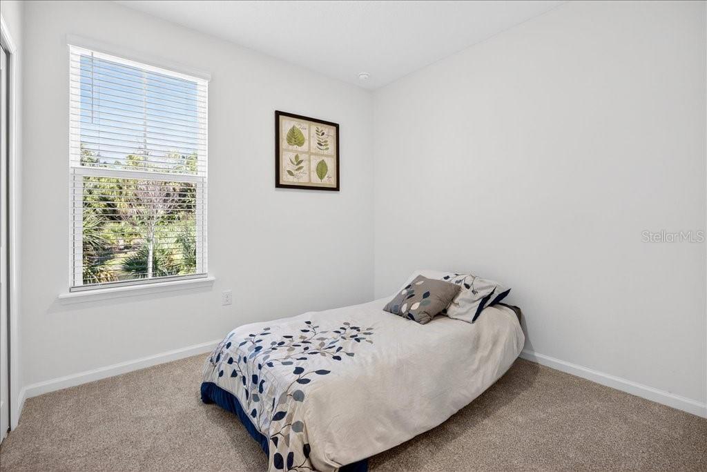 HAMMOCK AT PALM HARBOR - Residential