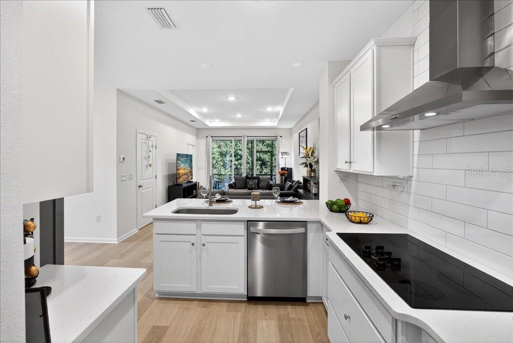 HAMMOCK AT PALM HARBOR - Residential