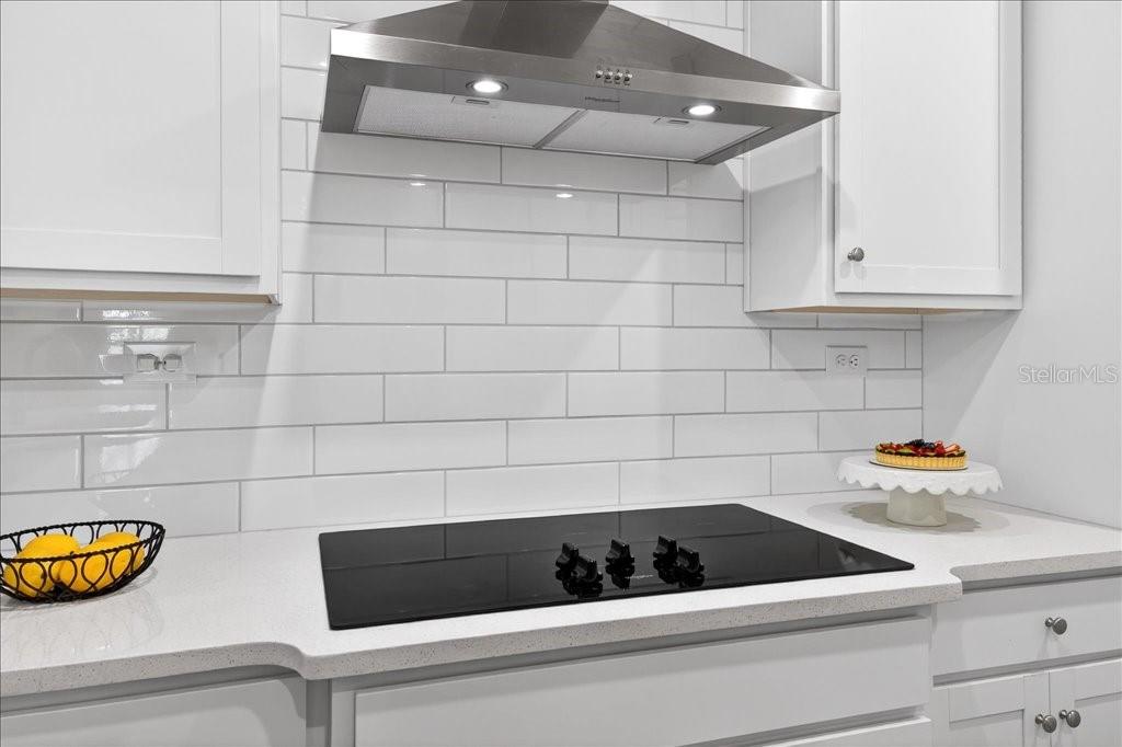 HAMMOCK AT PALM HARBOR - Residential