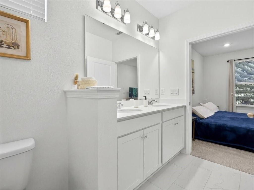 HAMMOCK AT PALM HARBOR - Residential