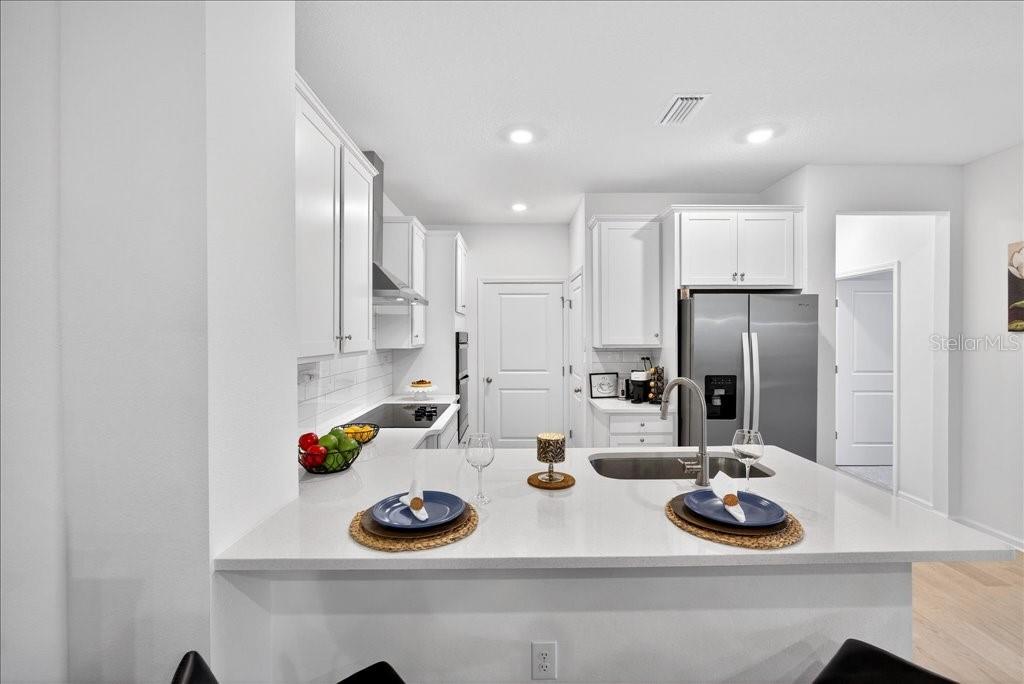 HAMMOCK AT PALM HARBOR - Residential