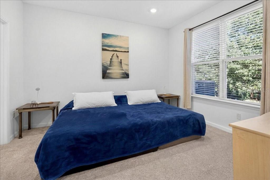 HAMMOCK AT PALM HARBOR - Residential