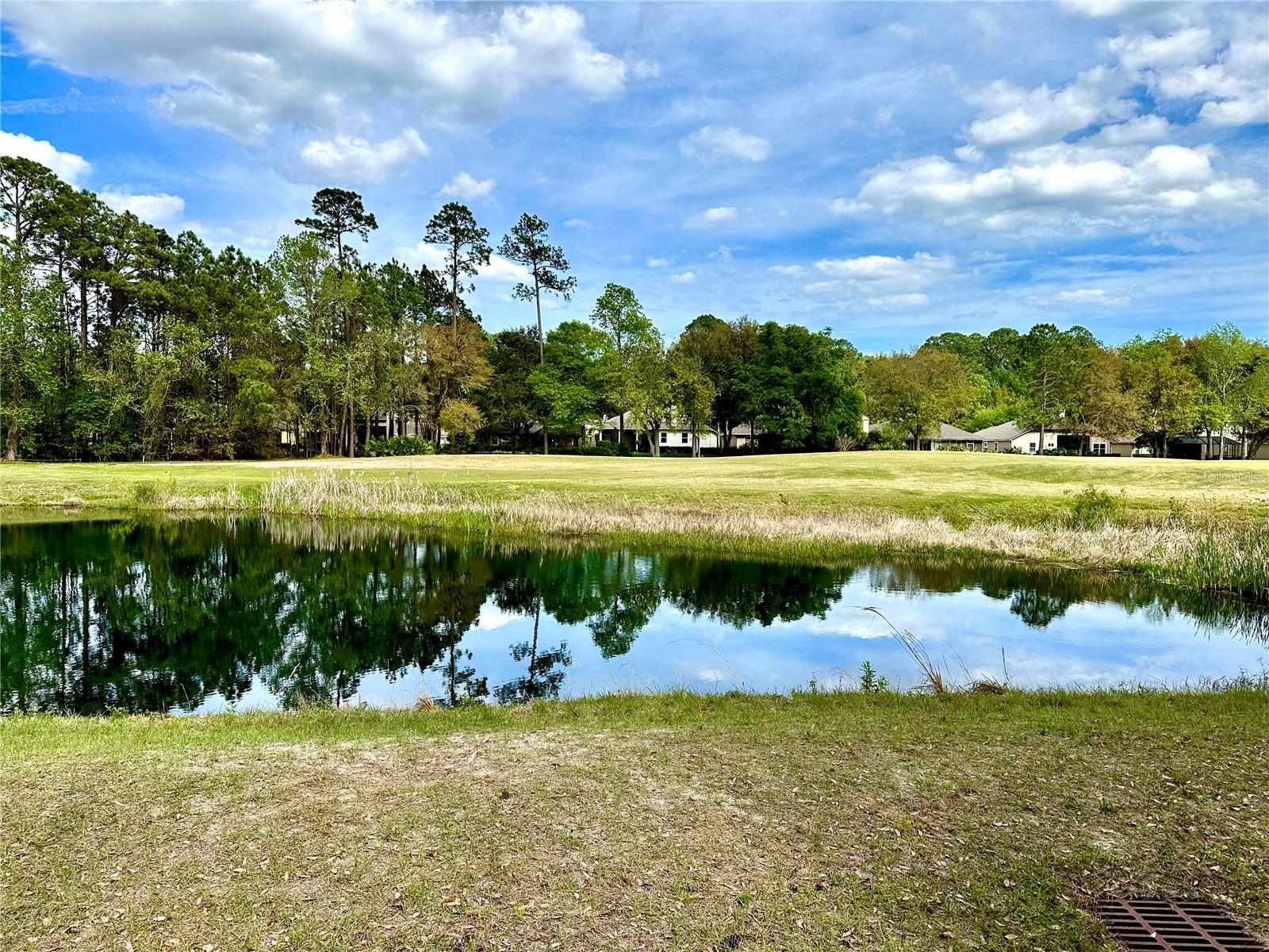 Photo 3 of 23 of 85144 NAPEAGUE DRIVE land