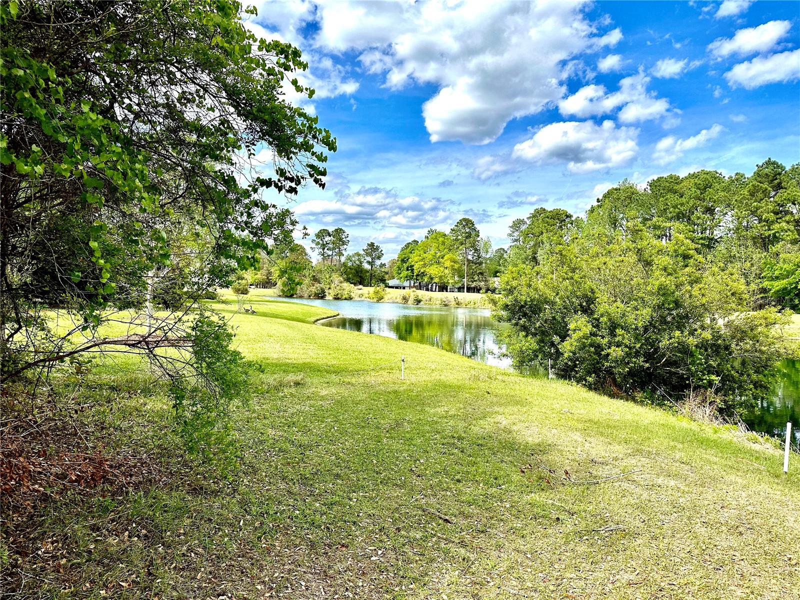 Photo 5 of 23 of 85144 NAPEAGUE DRIVE land