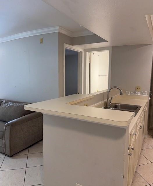 BLOSSOM PARK VILLAS CONDO - Residential