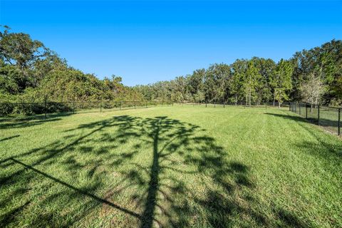 A home in ZEPHYRHILLS