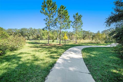 A home in ZEPHYRHILLS