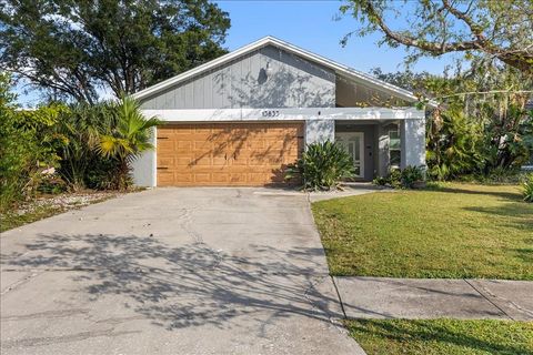 A home in TAMPA