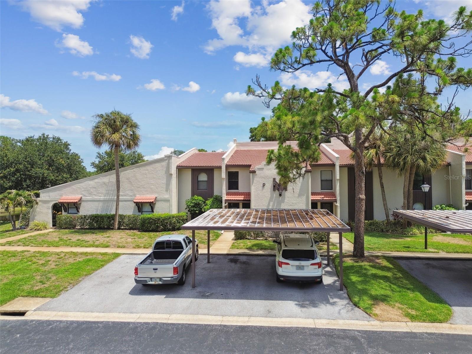 TARPON WOODS CONDO - Residential